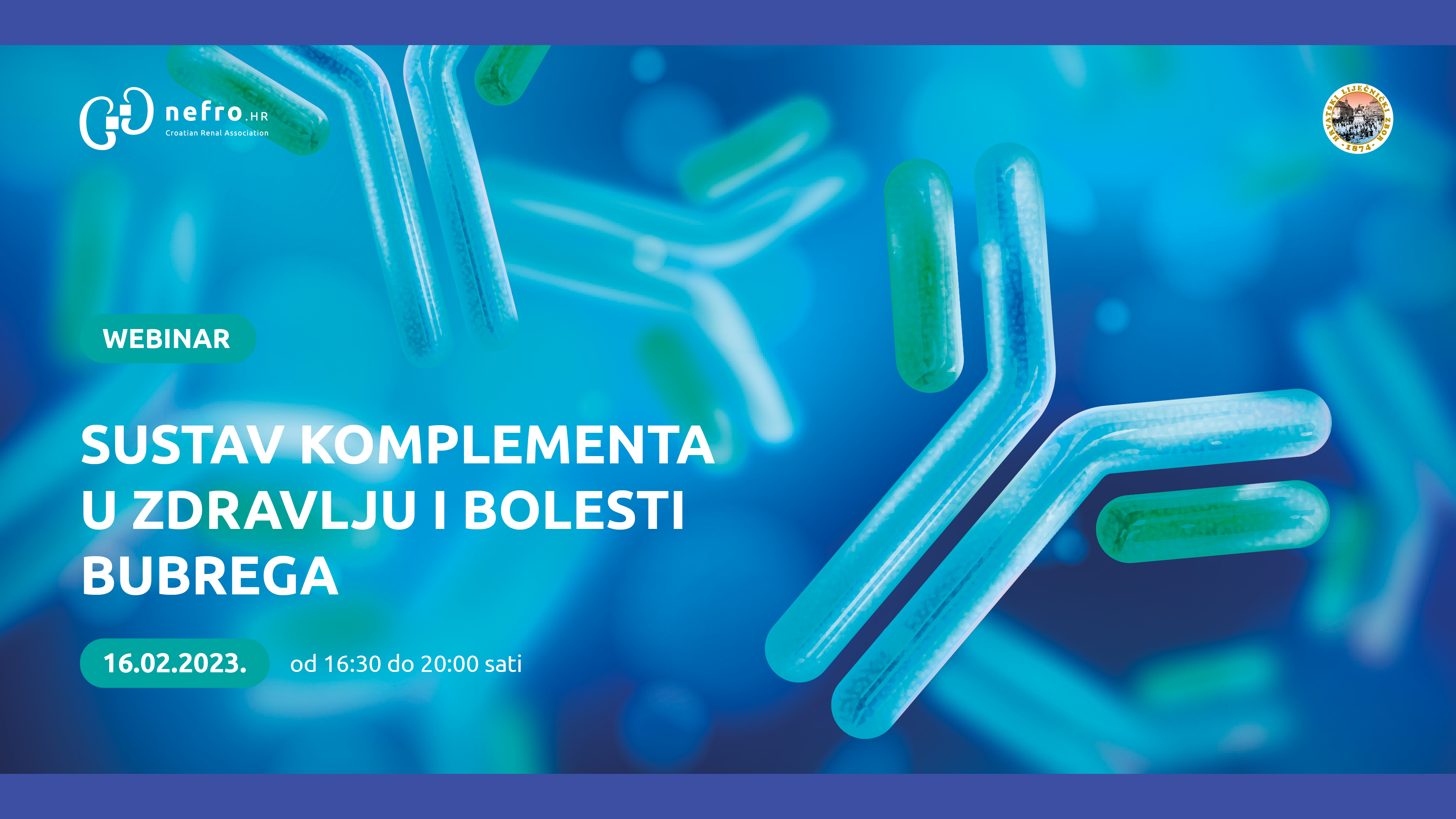 SUSTAV KOMPLEMENTA U ZDRAVLJU I BOLESTI BUBREGA